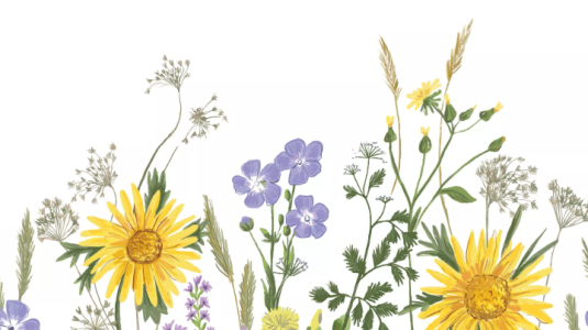 Boutique en ligne de vente de matériel de bricolage