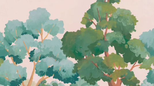 Boutique en ligne de vente de matériel de bricolage