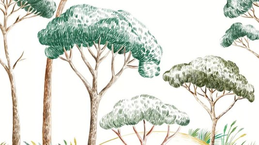 Boutique en ligne de vente de materiel de bricolage