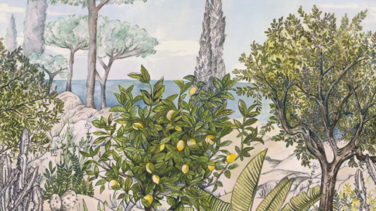 Boutique en ligne de vente de materiel de bricolage