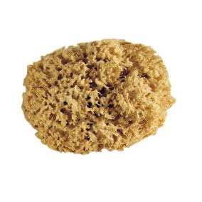 Eponge naturelle pro L'Outil Parfait