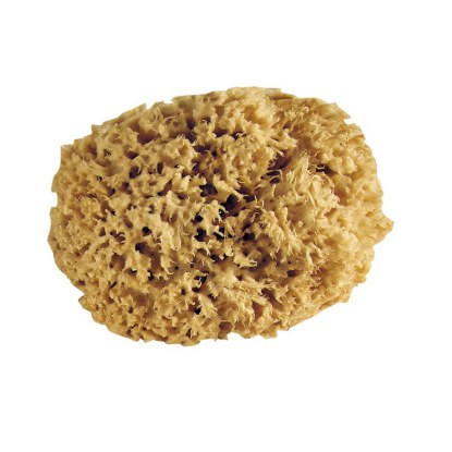 Eponge naturelle pro diamètre 180 mm L'Outil Parfait