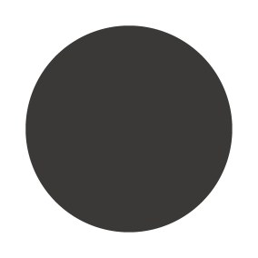 Pitch Black No. 256 Farrow & Ball