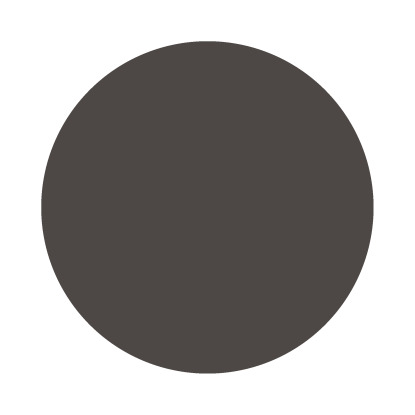 Echantillon Tanner's Brown No. 255 Farrow & Ball