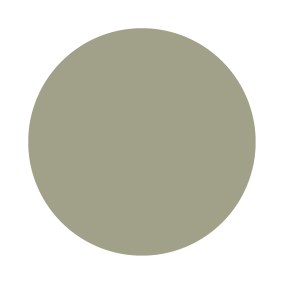 Lichen No. 19 Farrow & Ball