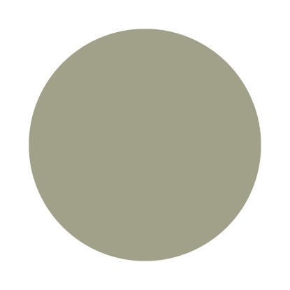 Echantillon Lichen No. 19 Farrow & Ball