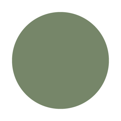 Echantillon Calke Green No. 34 Farrow & Ball