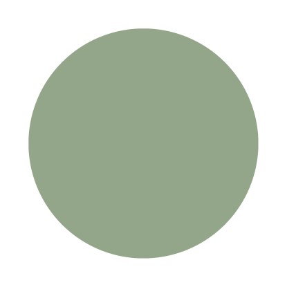 Echantillon Breakfast Room Green No. 81 Farrow & Ball