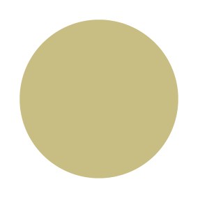 Churlish Green No. 251 Farrow & Ball