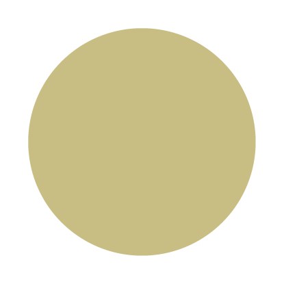 Echantillon Churlish Green No. 251 Farrow & Ball