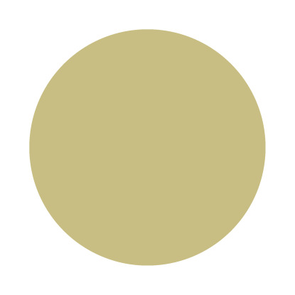 Echantillon Churlish Green No. 251 Farrow & Ball