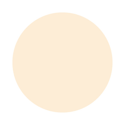 Echantillon Tallow No. 203 Farrow & Ball