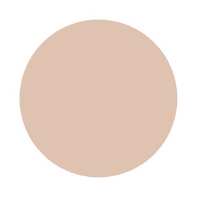 Setting Plaster No. 231 Farrow & Ball