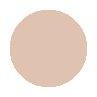 Echantillon Setting Plaster No. 231 Farrow & Ball