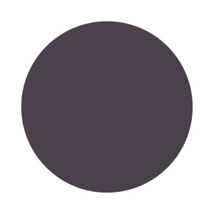 Paean Black No. 294 Farrow & Ball