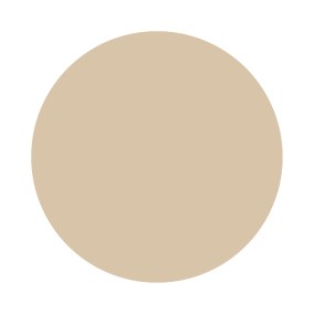 Savage Ground No. 213 Farrow & Ball