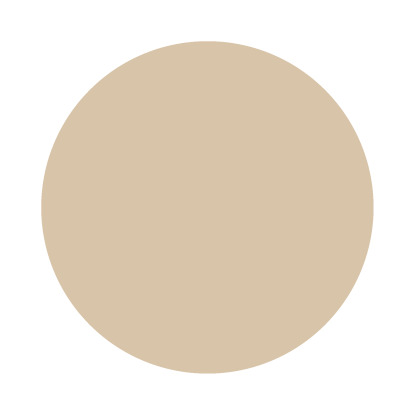 Echantillon Savage Ground No. 213 Farrow & Ball