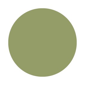 Olive No. 13 Farrow & Ball