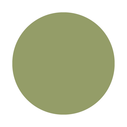 Echantillon Olive No. 13 Farrow & Ball