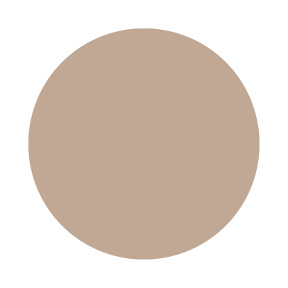 Echantillon Smoked Trout No. 60 Farrow & Ball