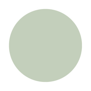 Palm No. CC4 Farrow & Ball