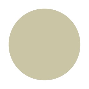 Ash Grey No. W9 Farrow & Ball