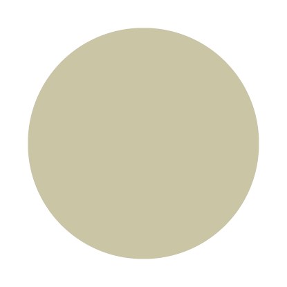 Echantillon Ash Grey No. W9 Farrow & Ball