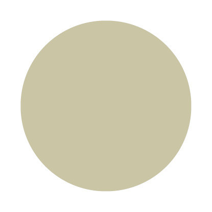 Echantillon Ash Grey No. W9 Farrow & Ball