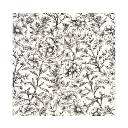 Jardin De Beauregard blanc noir Papier peint Caselio 103060913