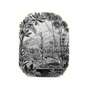 Jardin D' Hiver Papier peint panoramique Caselio