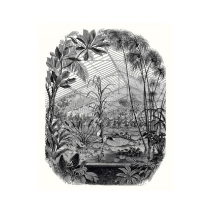 Jardin D' Hiver noir et blanc Papier peint panoramique Caselio