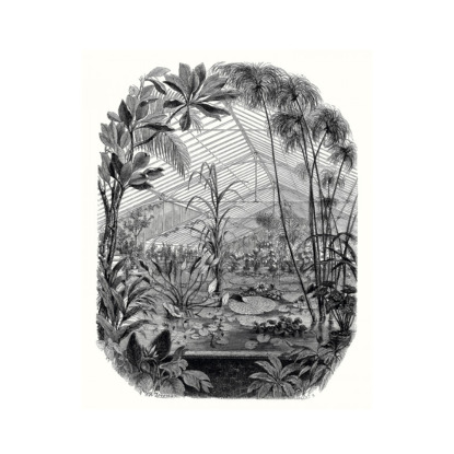 Jardin D' Hiver noir et blanc Papier peint panoramique Caselio