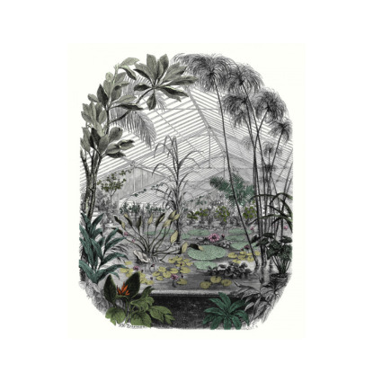 Jardin D' Hiver multicouleurs Papier peint panoramique Caselio