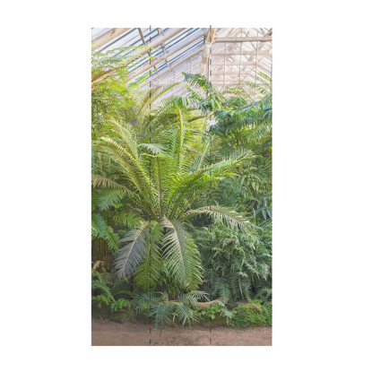 Décor mural serre tropicale 3 lés Papier peint Lutèce Collection Reality