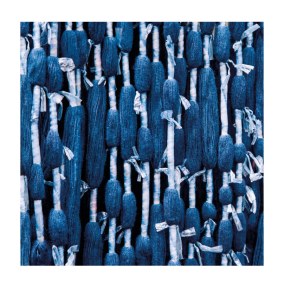 Indigo Collection Ginkgo Papier peint panoramique Casadeco
