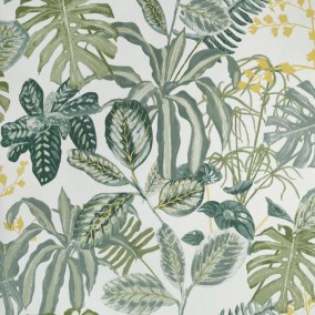 Manaus Collection Green & Co Papier peint Caselio