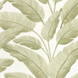Tropicalia Collection Borneo Papier peint Caselio