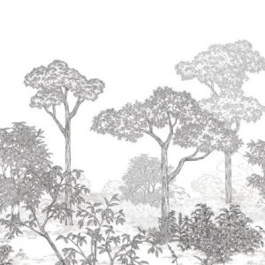 Arboretum Collection Art of botany Papier peint panoramique Caselio