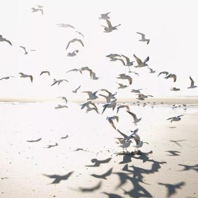 Houlgate Collection Seaside Papier peint panoramique Casadeco