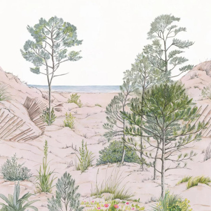 Sand dune Collection Reliefs Papier peint panoramique Caselio