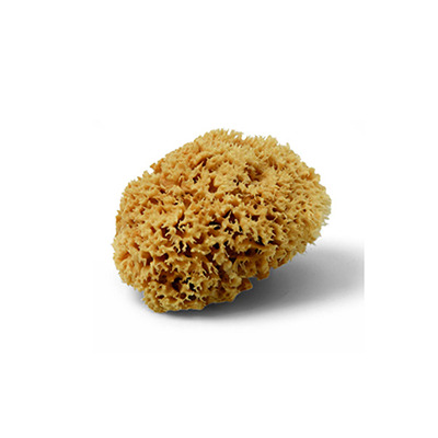 Eponge naturelle Schuller Eh'klar