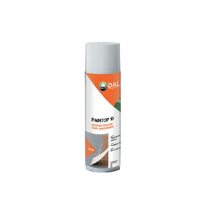 Paintop 10 décapant peinture haute performance 500mL Dalep